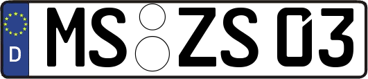 MS-ZS03