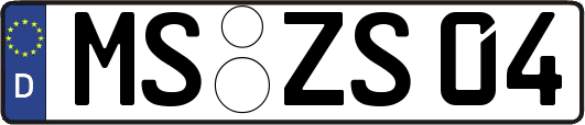 MS-ZS04