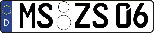 MS-ZS06