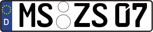 MS-ZS07