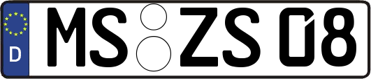 MS-ZS08