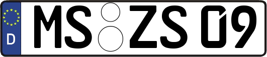 MS-ZS09