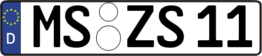 MS-ZS11