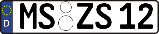 MS-ZS12