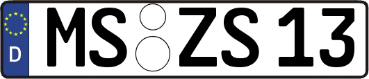 MS-ZS13