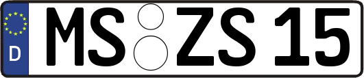MS-ZS15