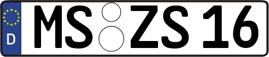 MS-ZS16