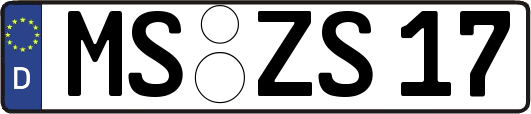 MS-ZS17