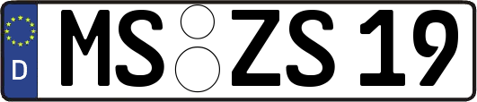 MS-ZS19