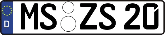 MS-ZS20