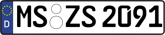 MS-ZS2091