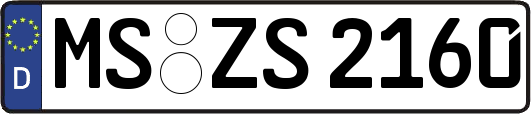 MS-ZS2160