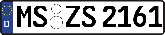 MS-ZS2161