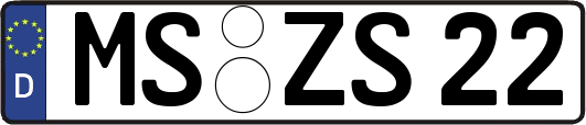 MS-ZS22