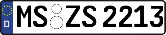MS-ZS2213