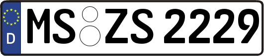MS-ZS2229