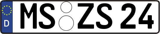 MS-ZS24