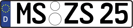 MS-ZS25