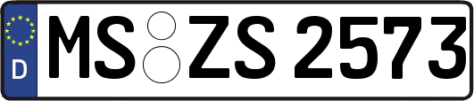 MS-ZS2573
