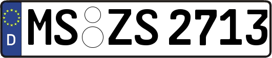MS-ZS2713
