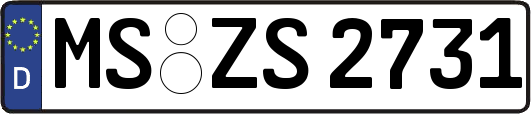 MS-ZS2731
