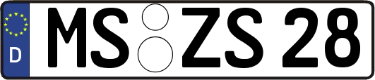 MS-ZS28