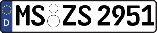 MS-ZS2951
