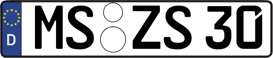 MS-ZS30