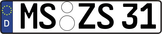 MS-ZS31