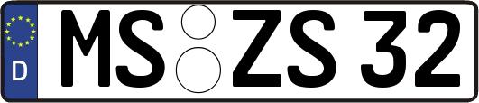 MS-ZS32
