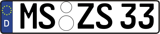 MS-ZS33