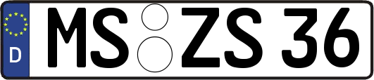 MS-ZS36