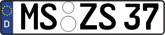 MS-ZS37