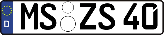 MS-ZS40