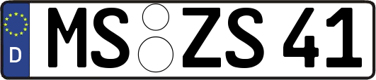 MS-ZS41