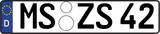 MS-ZS42