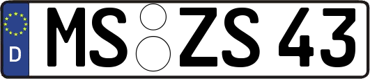 MS-ZS43