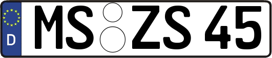 MS-ZS45