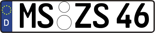 MS-ZS46