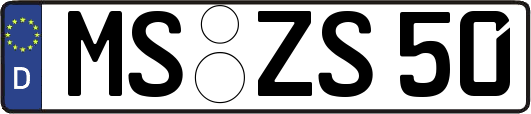 MS-ZS50