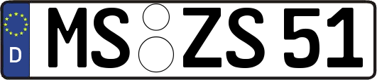MS-ZS51