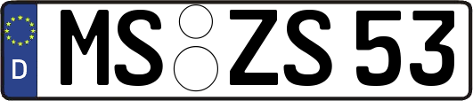 MS-ZS53