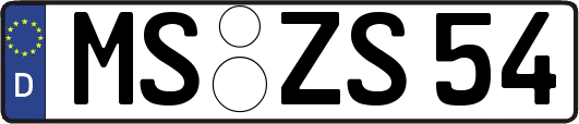 MS-ZS54