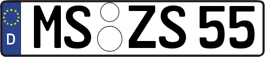 MS-ZS55