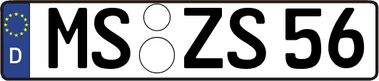 MS-ZS56