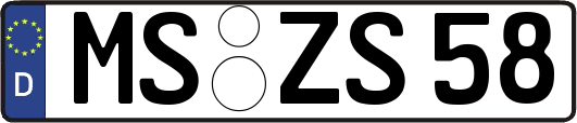 MS-ZS58