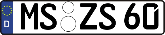 MS-ZS60