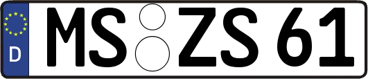MS-ZS61