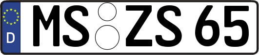 MS-ZS65