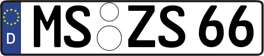 MS-ZS66